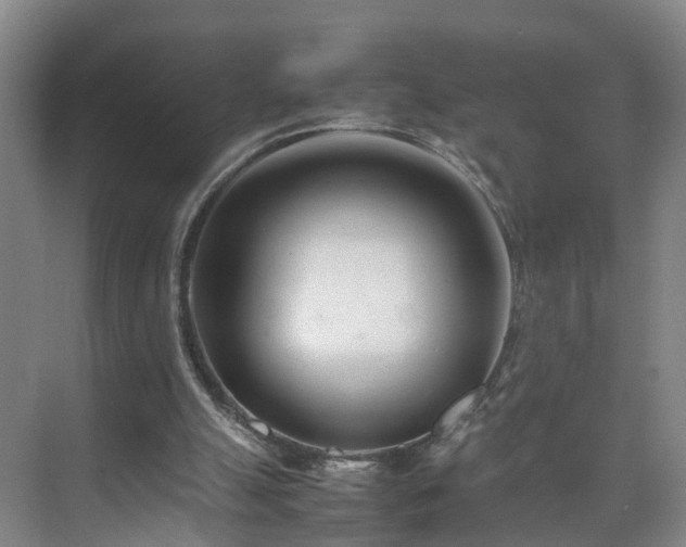 X0000075360055200609151647