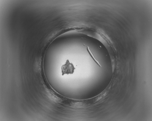 X0000075360058200609151647