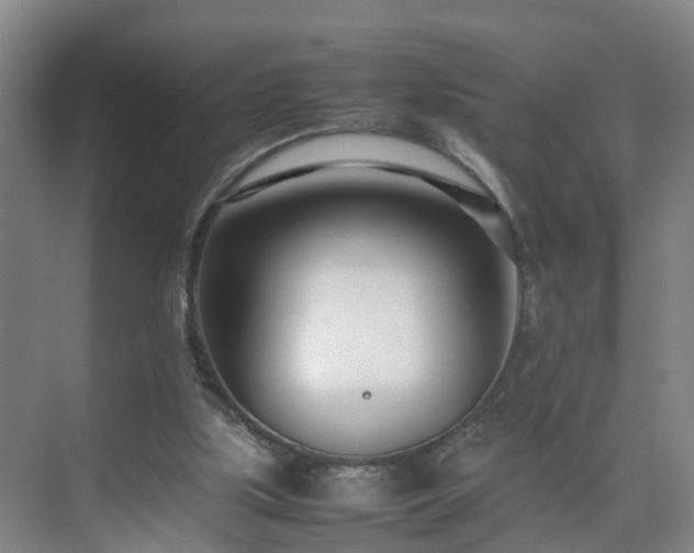 X0000075360059200609151647