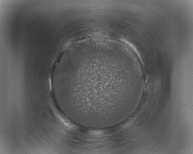 X0000075360061200609151647