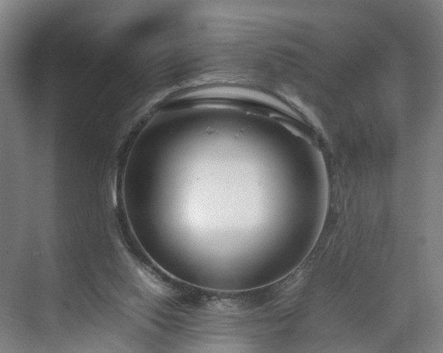 X0000075360062200609151647