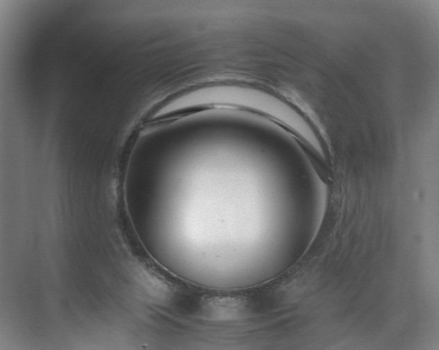 X0000075360063200609151647