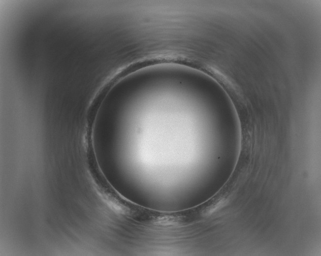 X0000075360064200609151647