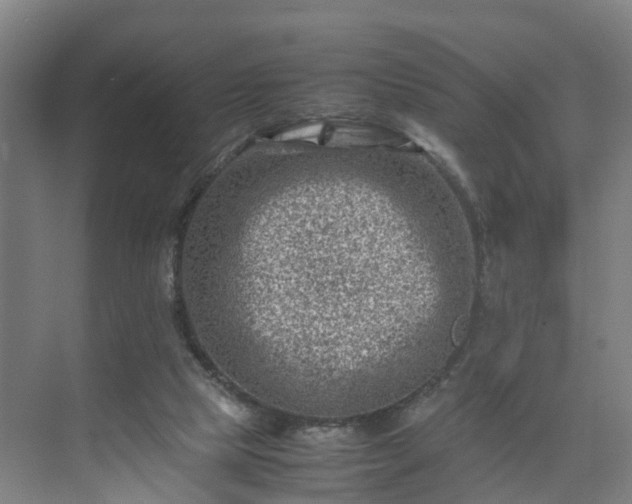 X0000075360065200609151647