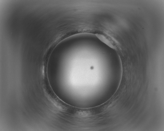 X0000075360067200609151647