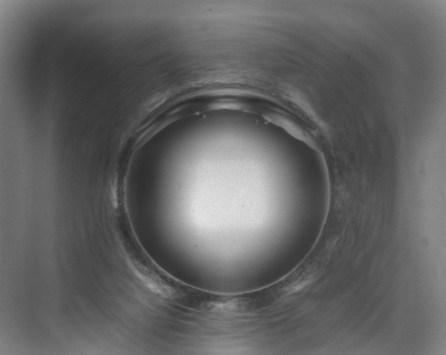 X0000075360068200609151647