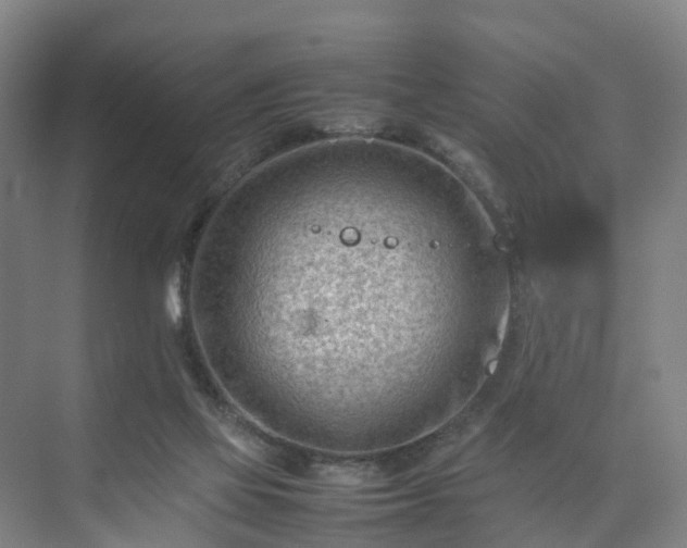 X0000075360069200609151647