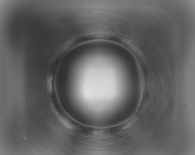 X0000075360070200609151647