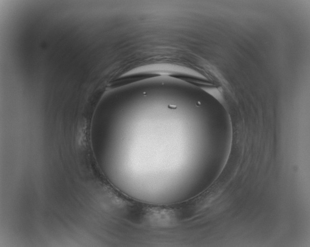 X0000075360073200609151648