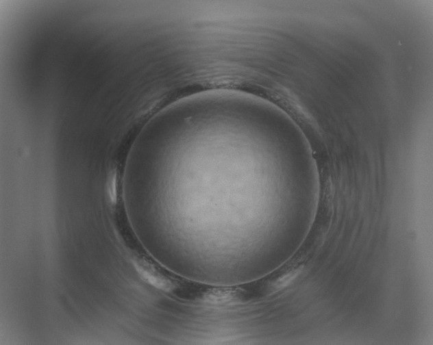 X0000075360076200609151648