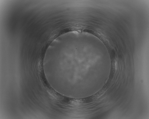 X0000075360079200609151648