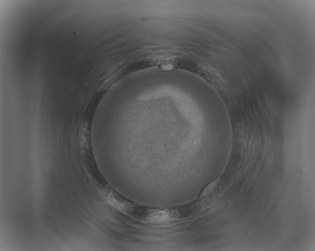 X0000075360083200609151648