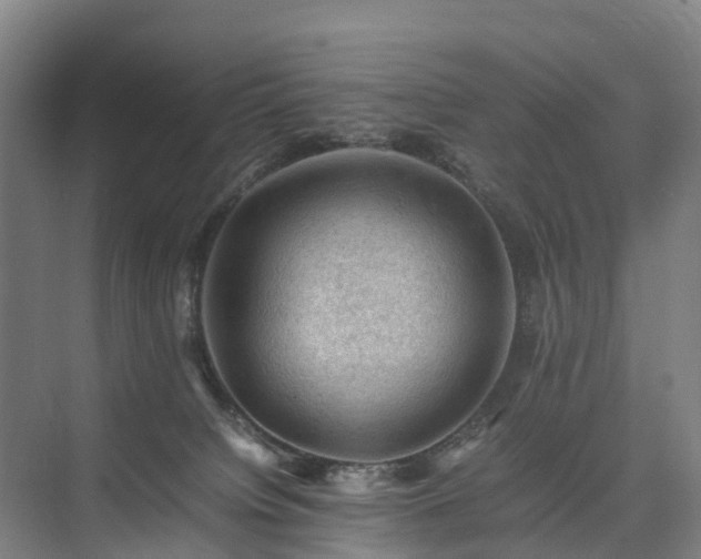 X0000075360084200609151648