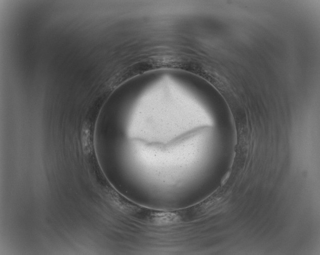 X0000075360087200609151648