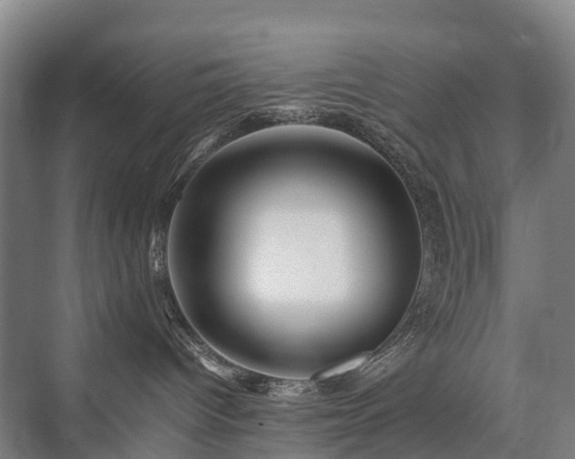 X0000075360096200609151648