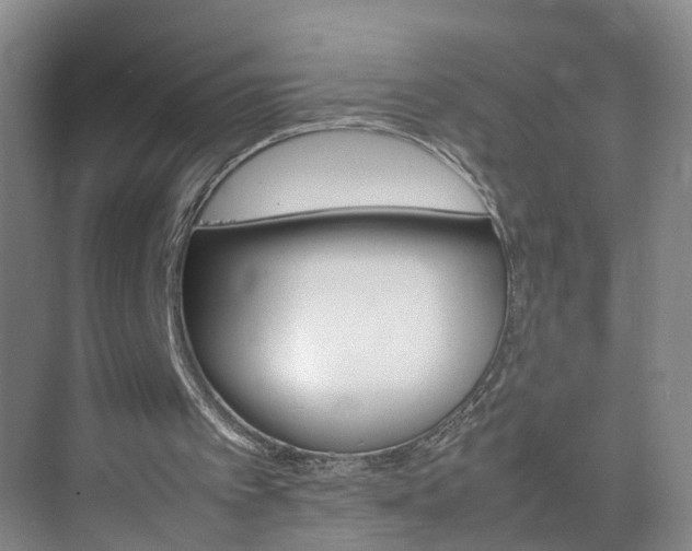 X0000075360097200609151647