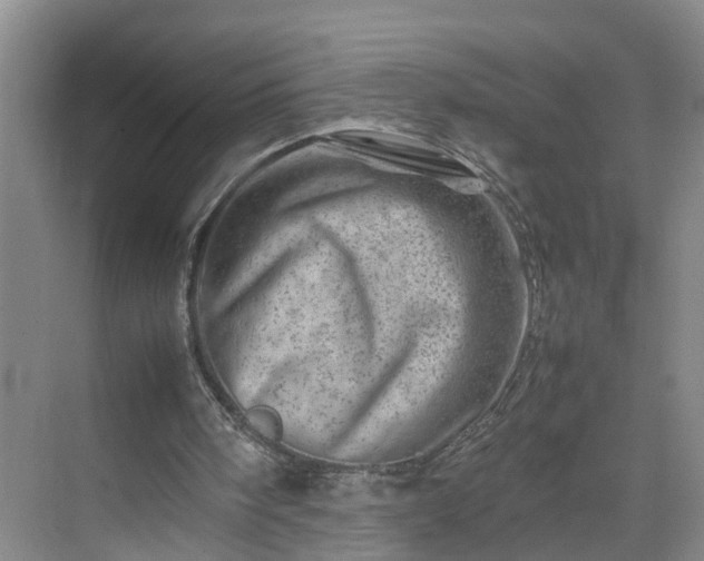 X0000075360098200609151647