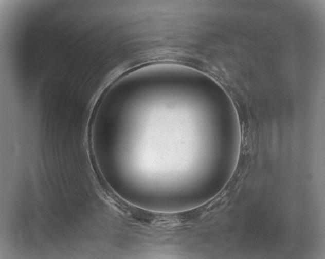 X0000075360099200609151647