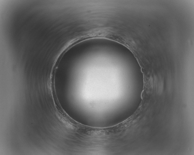 X0000075360100200609151647