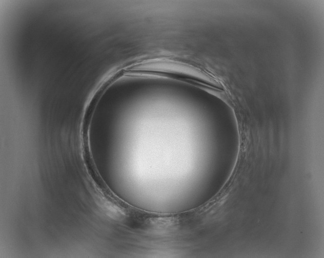 X0000075360102200609151647