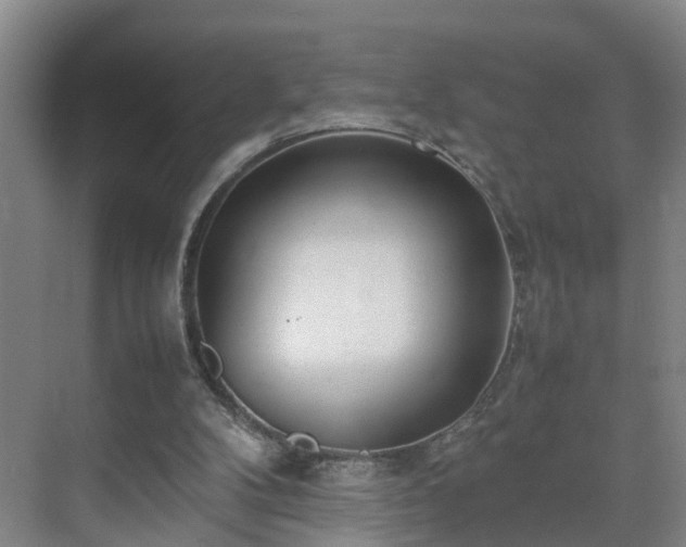 X0000075360104200609151647