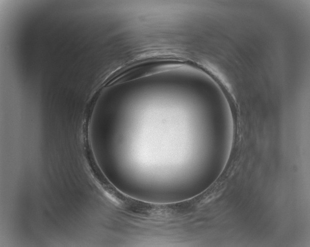 X0000075360105200609151647