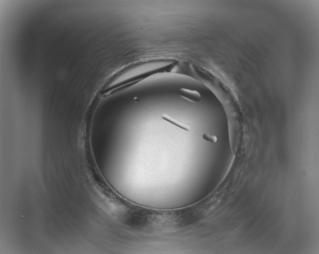 X0000075360107200609151647