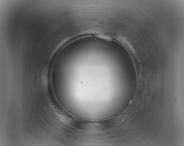 X0000075360108200609151647