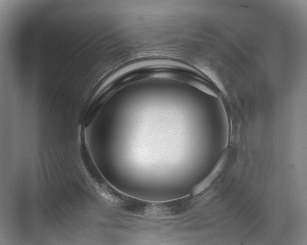 X0000075360109200609151647