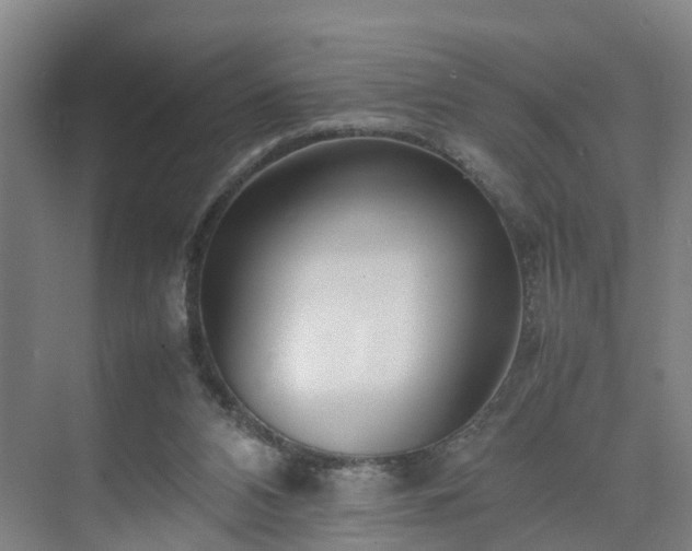 X0000075360112200609151647