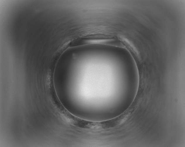 X0000075360113200609151647