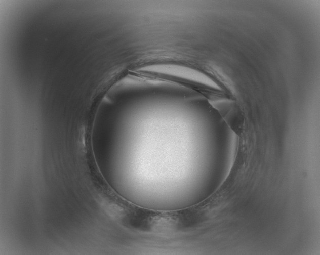 X0000075360115200609151647