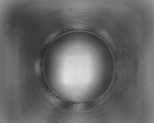 X0000075360116200609151647