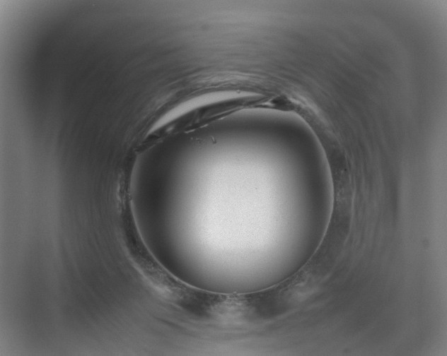 X0000075360119200609151647