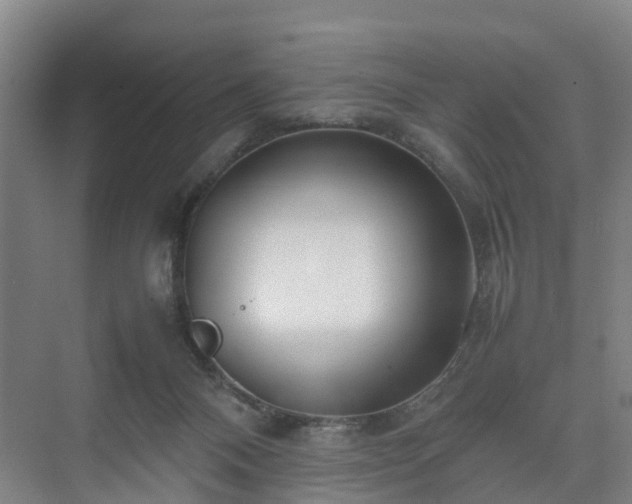 X0000075360120200609151647