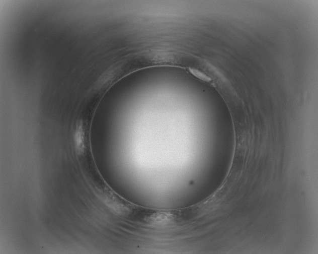 X0000075360124200609151647