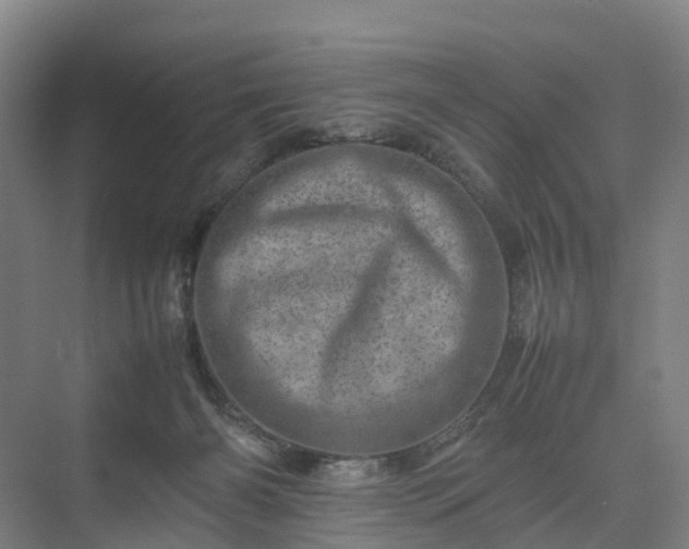 X0000075360126200609151647