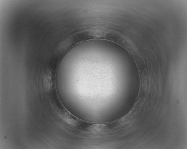 X0000075360128200609151647