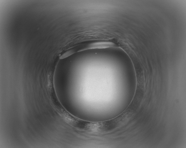 X0000075360131200609151647