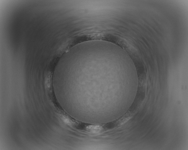 X0000075360133200609151647