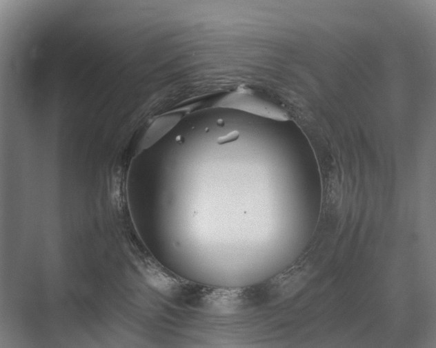 X0000075360138200609151646