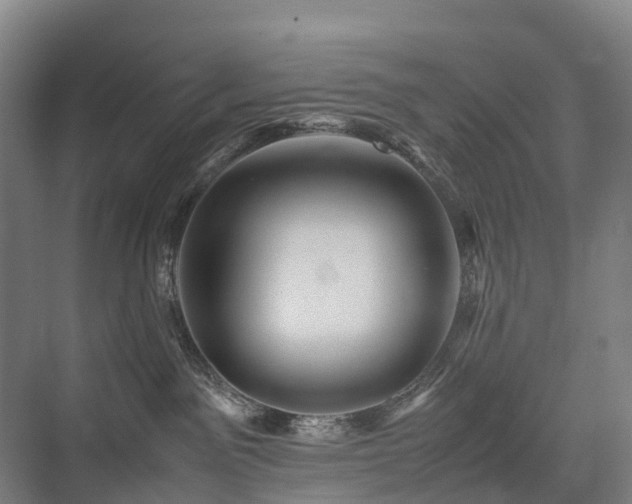 X0000075360141200609151646