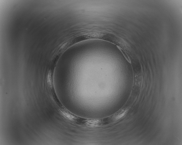 X0000075360143200609151646