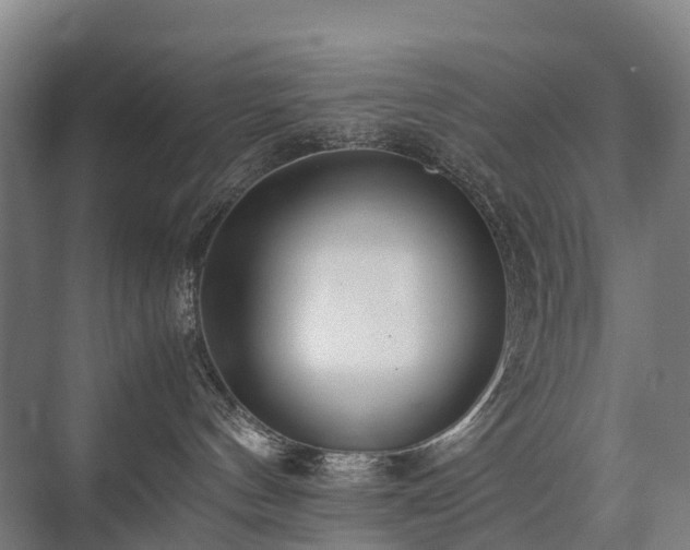 X0000075360144200609151646