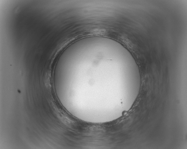 X0000075360146200609151646