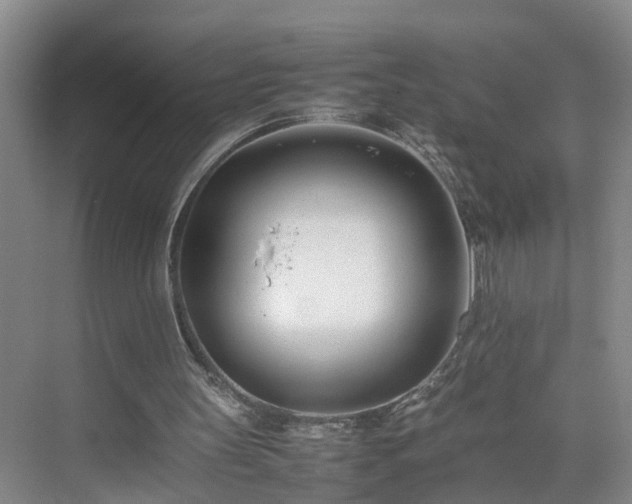 X0000075360147200609151646