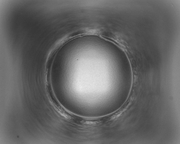 X0000075360149200609151646