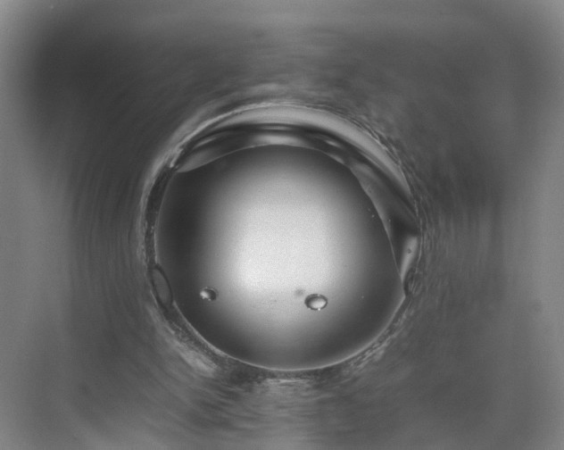 X0000075360150200609151646