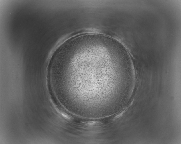 X0000075360151200609151646