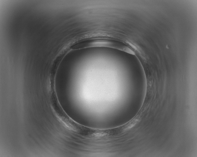 X0000075360158200609151646